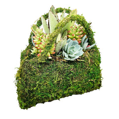 Succulents in Moss Purse