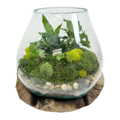 Fern Teak Root Vase - Small