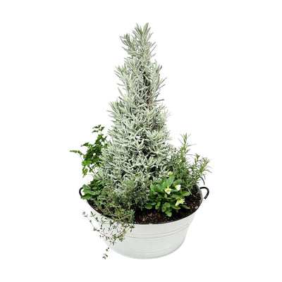 Large Holiday Farmhouse Herb Planter