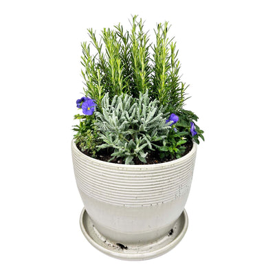Culinary Herb Garden