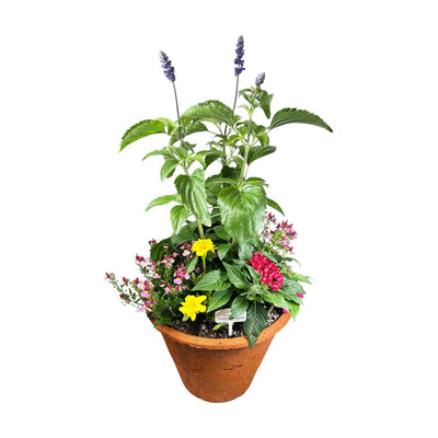 Clay Hummingbird Garden - 13"