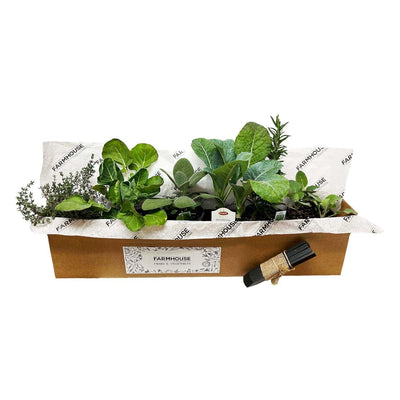 Farmhouse Herb & Vegtable Kit