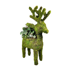 White Large Planted Moss Reindeer