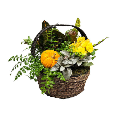 Festive Orange Fall Pumpkin Basket - Small