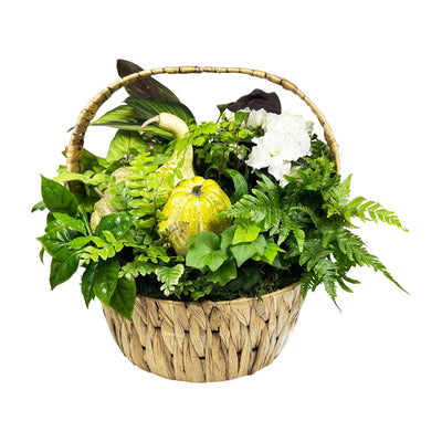 White Autumn Pumpkin Basket - Medium
