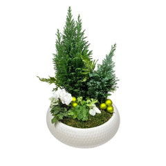 Winter White Dish Garden - Medium