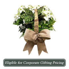 White Poinsettia Handle Basket