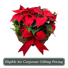 Red Poinsettias in Medium Willow Basket