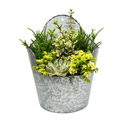 Succulents in Metal Wall Planter