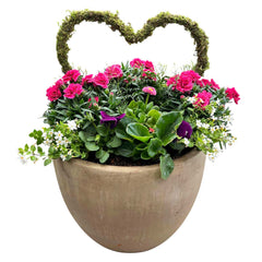 Sun Color Moss Heart in Brown Rustic Pot