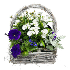 Sun Color in Small Grey Handle Basket