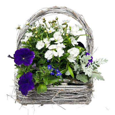 Sun Color in Small Grey Handle Basket