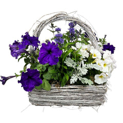 Sun Color in Large Grey Handle Basket