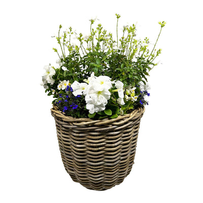 Pollinators in Rattan Basket Arrangement