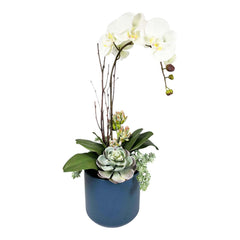 Faux Orchid & Succulents in Blue Pot