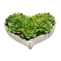 Angel of Love Succulent Heart Planter