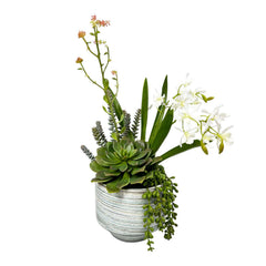 Faux Mini White Orchids with Blue Striped Pot