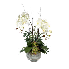 Faux White Orchids in Blue Striped Pot