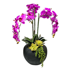 Faux Fuschia with Succulents in Black Pot