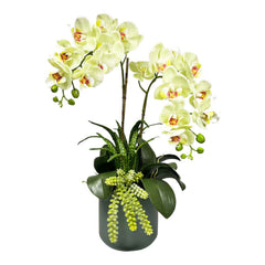 Faux Yellow Orchids with Succulents in Large Green Pot