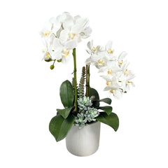 Faux Orchids & Succulents in White Pot