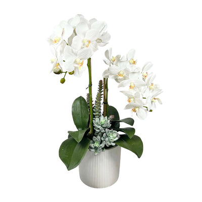 Faux Orchids & Succulents in White Pot