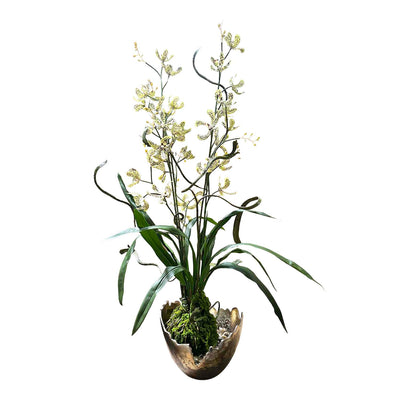 Faux Green Dendrobium Orchids in Bronze Bowl