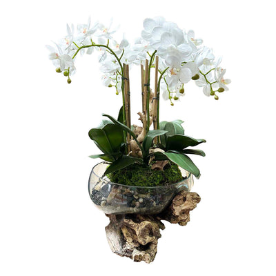 Faux White Orchids in Teak Glass Bowl