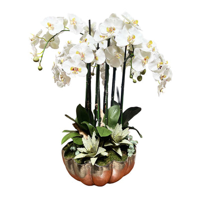 Faux White Orchids in Silver Clamshell Bowl