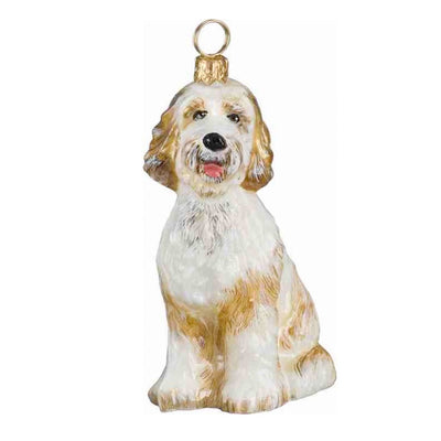 Goldendoodle White