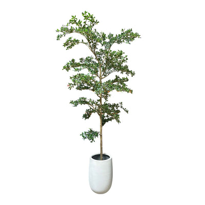 Faux Shady Lady Tree in Matte White Fiberclay Pot