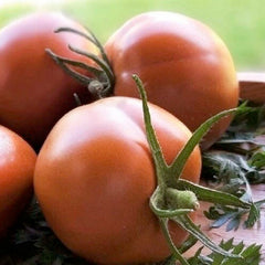 Amarillo Rust Heart - 4