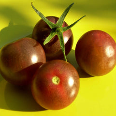 Black Cherry - 1 Gallon