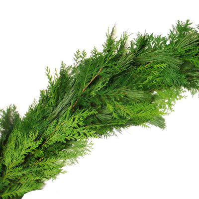 Precut Cedar Garland 10ft