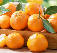 Mandarin 'Clementine' Espallier - 15 Gallon