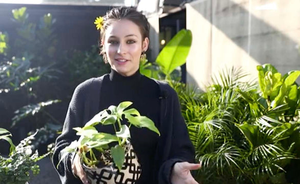 Experience Summer in the Garden – Roger's Gardens