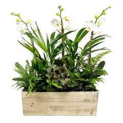 Orchids in Whitewashed Rectangle Wood