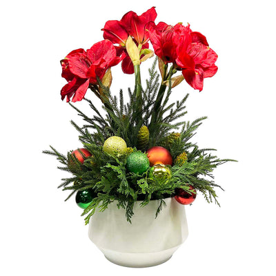 Silk Red Amaryllis Arrangement in White Pot