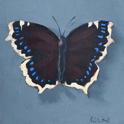 Mourning Cloak - 8"x8"