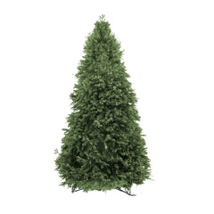 Premium Nordmann Fir 5-6Ft<br>(Shipping Only)
