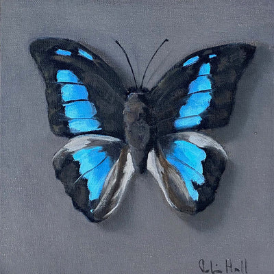 One Spotted Prepona - 8"x8"