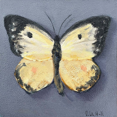 Pail Clouded Yellow - 8"x8"