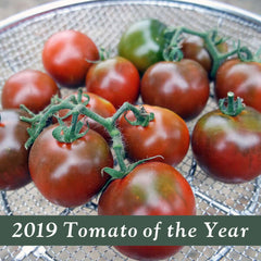 Pigletwillie's French Black - 1 Gallon