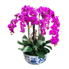 Faux Cascading Fuchsia Phalaenopsis Orchids in a Chinoiserie Bird Bowl