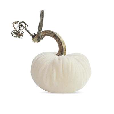 Snow Velvet Pumpkin - 5" Tall to 8" Tall