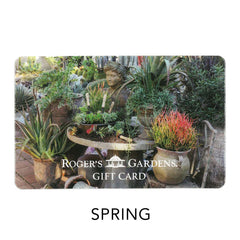 150 Dollar Gift Card