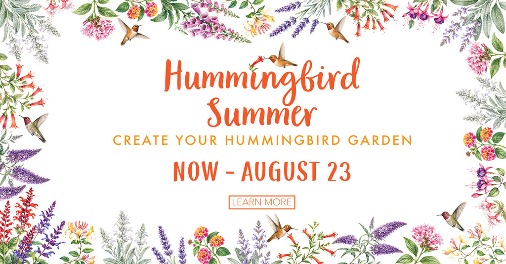 Hummingbird Summer garden experience at Roger’s Gardens