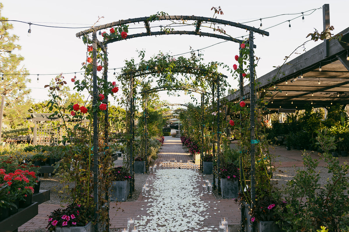 Candlelit rose-petal proposal aisle beneath vine-covered garden arches at Roger’s Gardens in Corona del Mar