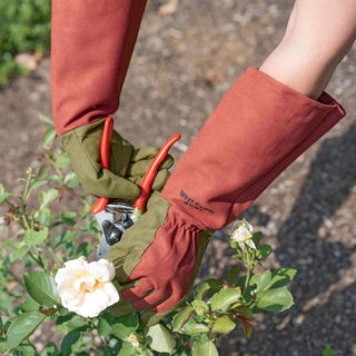 rose gauntlet gardening gloves Comfort Pro Rose Gloves – Roger's Gardens