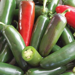 Jalapeno Sweet Poppers - 4